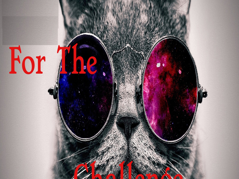 For the Pussy Challenge (Instrumental)