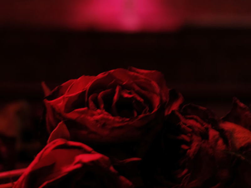 Climb on Your Tears (Single)