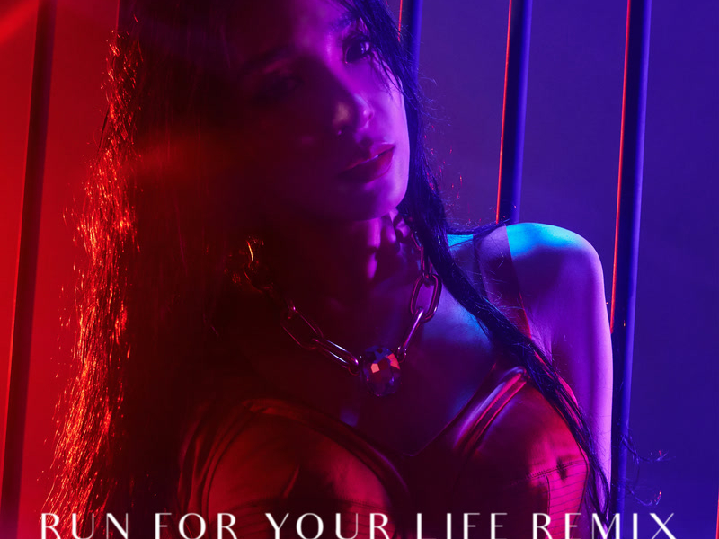 Run For You Life (Remix) (Single)