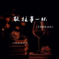 敬往事一杯 (负债翻身语录) (Single)