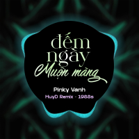 Đếm Ngày Muộn Màng (HuyD Remix) (Single)