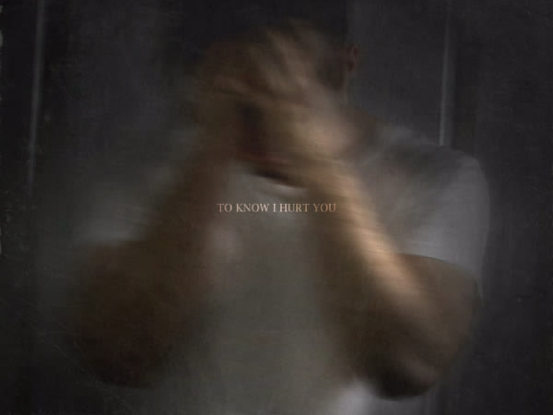 To Know I Hurt You (Single)