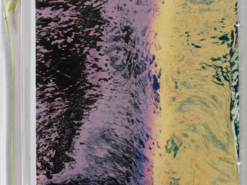 Who Got the Magic? (Single)