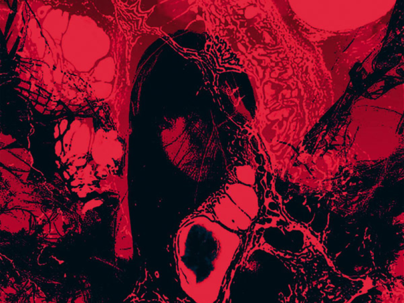 Свела меня с ума (Single)