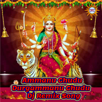 Ammanu Chudu Durgammanu Chudu (DJ Remix) (Single)