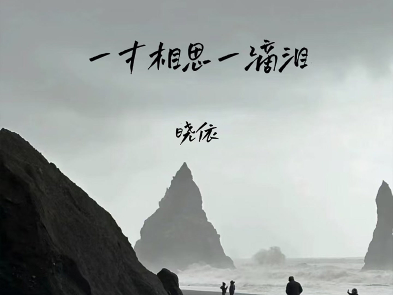 一寸相思一滴泪 (Single)