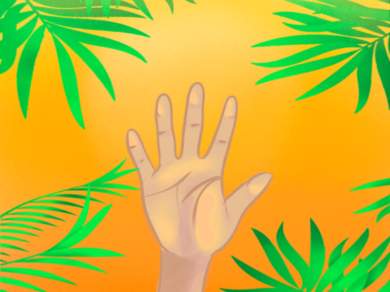 Palms (Single)