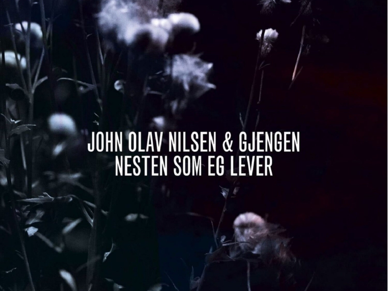 Nesten som eg lever (Single)