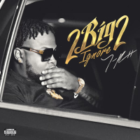 Slide (feat. Fredo Bang) (Single)