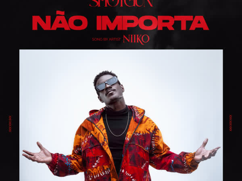 Não Importa (Single)