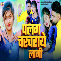 Plang Charcharaye Lagi (Single)