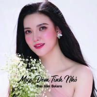 Mưa Đêm Tỉnh Nhỏ (Single)
