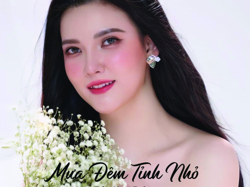 Mưa Đêm Tỉnh Nhỏ (Single)