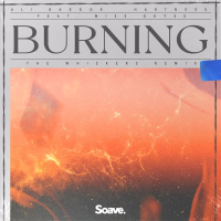 Burning (feat. Miss Ghyss) [The Whiskers Remix] (Single)