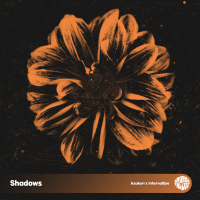 Shadows (Single)