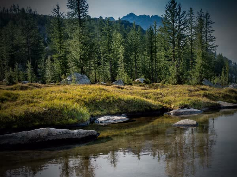 Flowing River Sounds for Deep Relaxation and Better Sleep (Single)