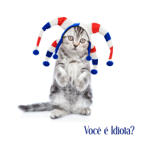 Você é idiota? (Single)
