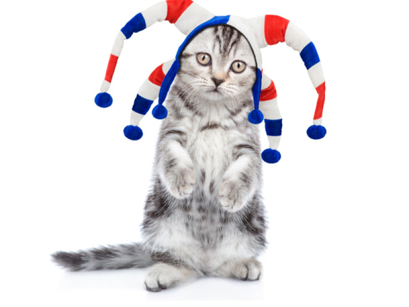 Você é idiota? (Single)