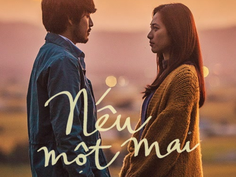 Nếu Một Mai (Nhắm Mắt Thấy Mùa Hè OST) (Single)