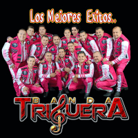 Los  Mejores Exitos (Edited) (Banda)