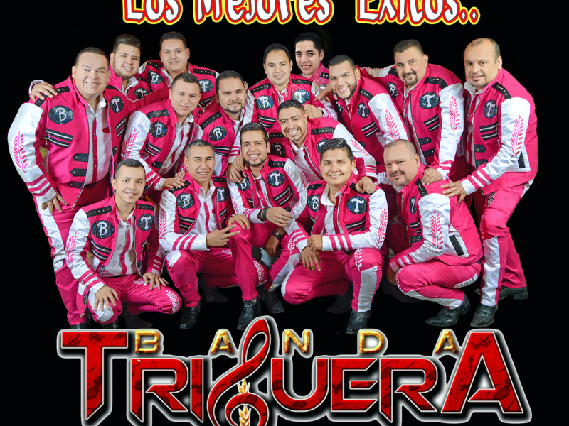 Los  Mejores Exitos (Edited) (Banda)