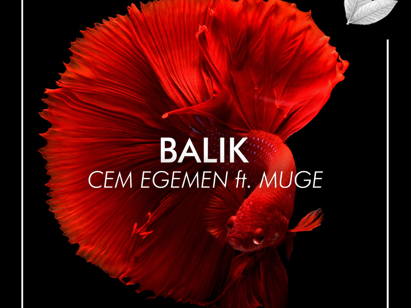 Balık (Single)