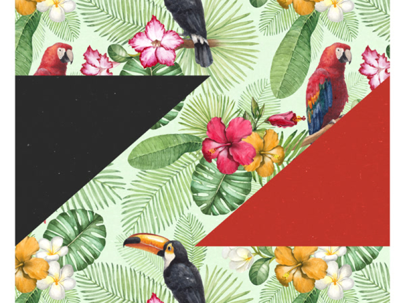 Party In Rio (Single)