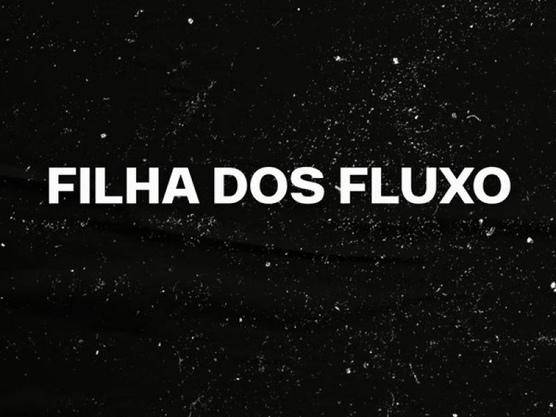 FILHA DOS FLUXO (Remix) (Single)