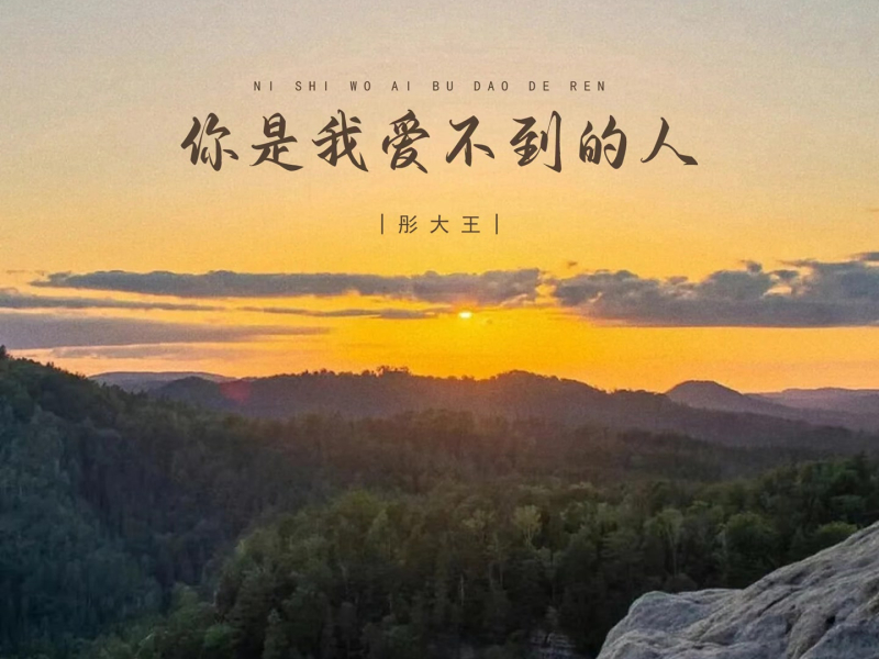 你是我爱不到的人 (Single)