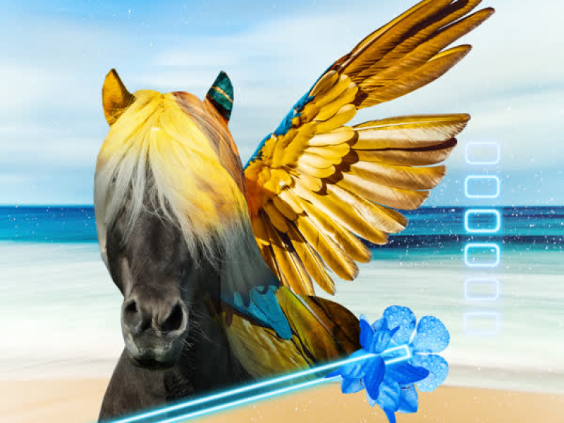 Ay Ombe (Vamo' a Relajar el Pony) (Bleepolar Remix) (Single)