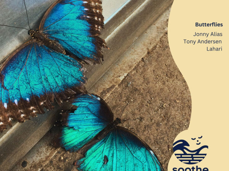 Butterflies (Single)