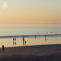 vibe catcher (Single)