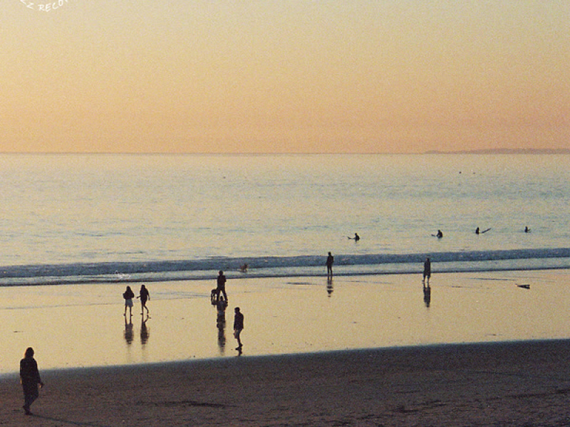 vibe catcher (Single)