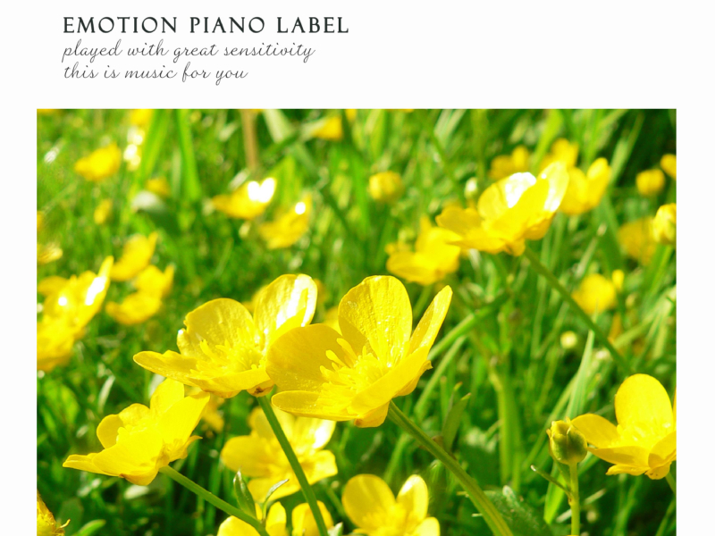 Light of smile (Single)