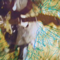 Freaks Of Go Go Spectators 2 -Sell Out-