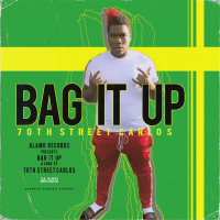 Bag It Up (Single)