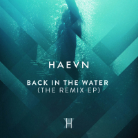 Back in the Water (The Remix EP) (Single)