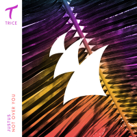 Not Over You (Single)