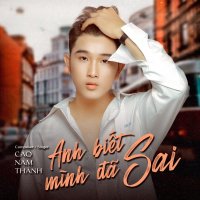 Anh Biết Mình Đã Sai (Beat) (Single)