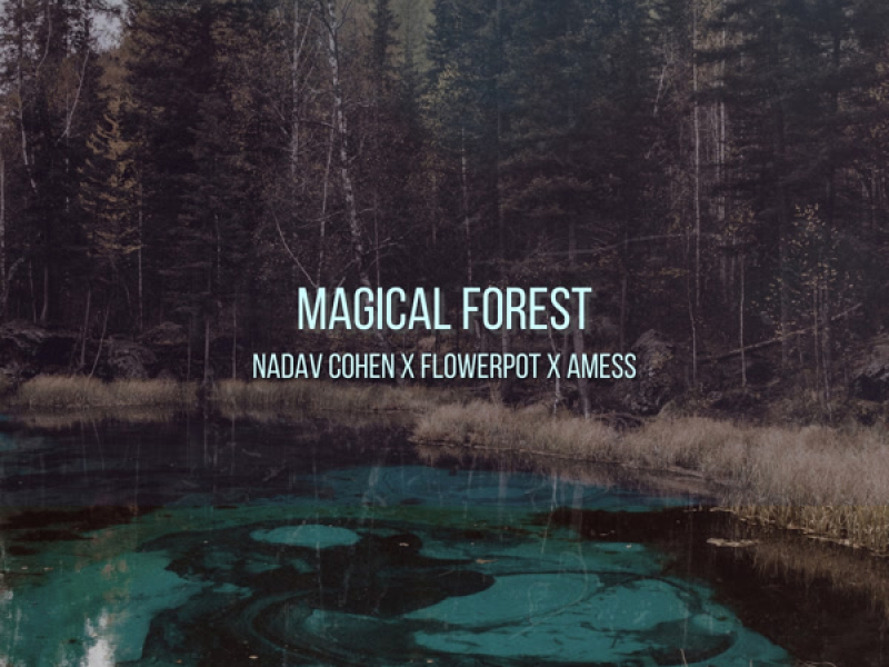 Magical Forest (Single)