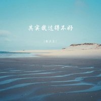 其实我过得不好 (Single)