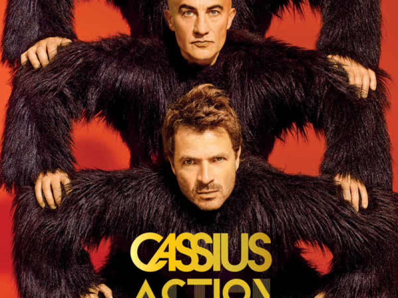 Action (Single Edit)