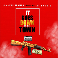 It Goes Down in the Town (feat. Lil Boosie)