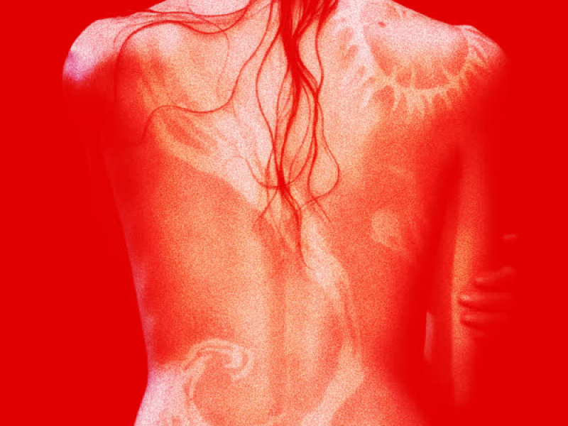 Welcome To My Island (Remix) (EP)