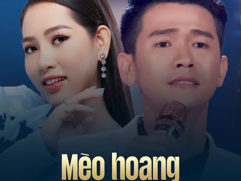 Mèo Hoang (Single)