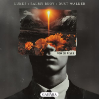 Now Or Never (Single)