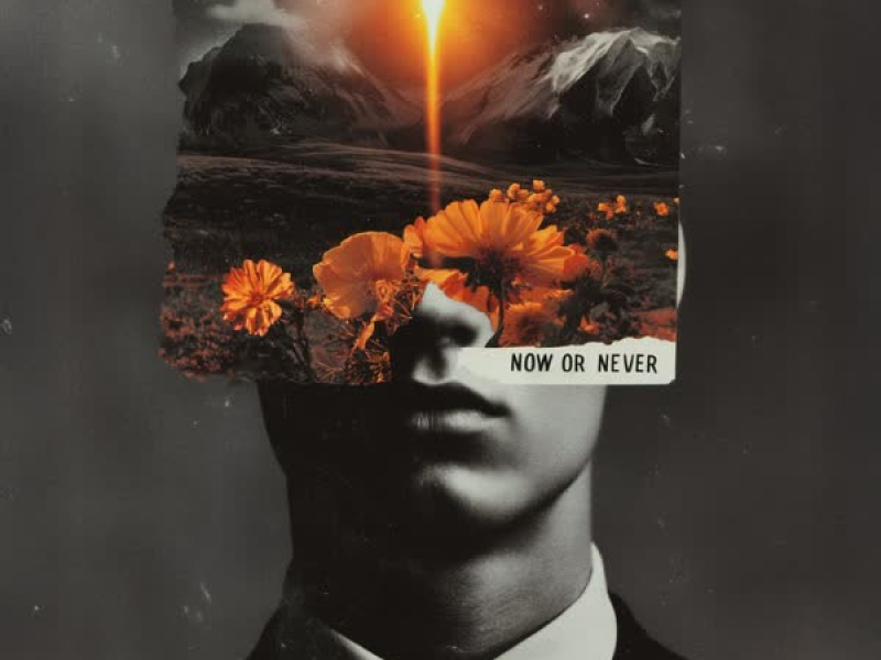 Now Or Never (Single)