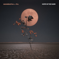 Hope In The Dark​ (Single)