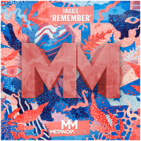 Remember (Single)