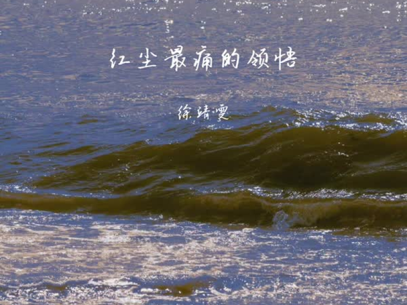 红尘最痛的领悟 (Single)